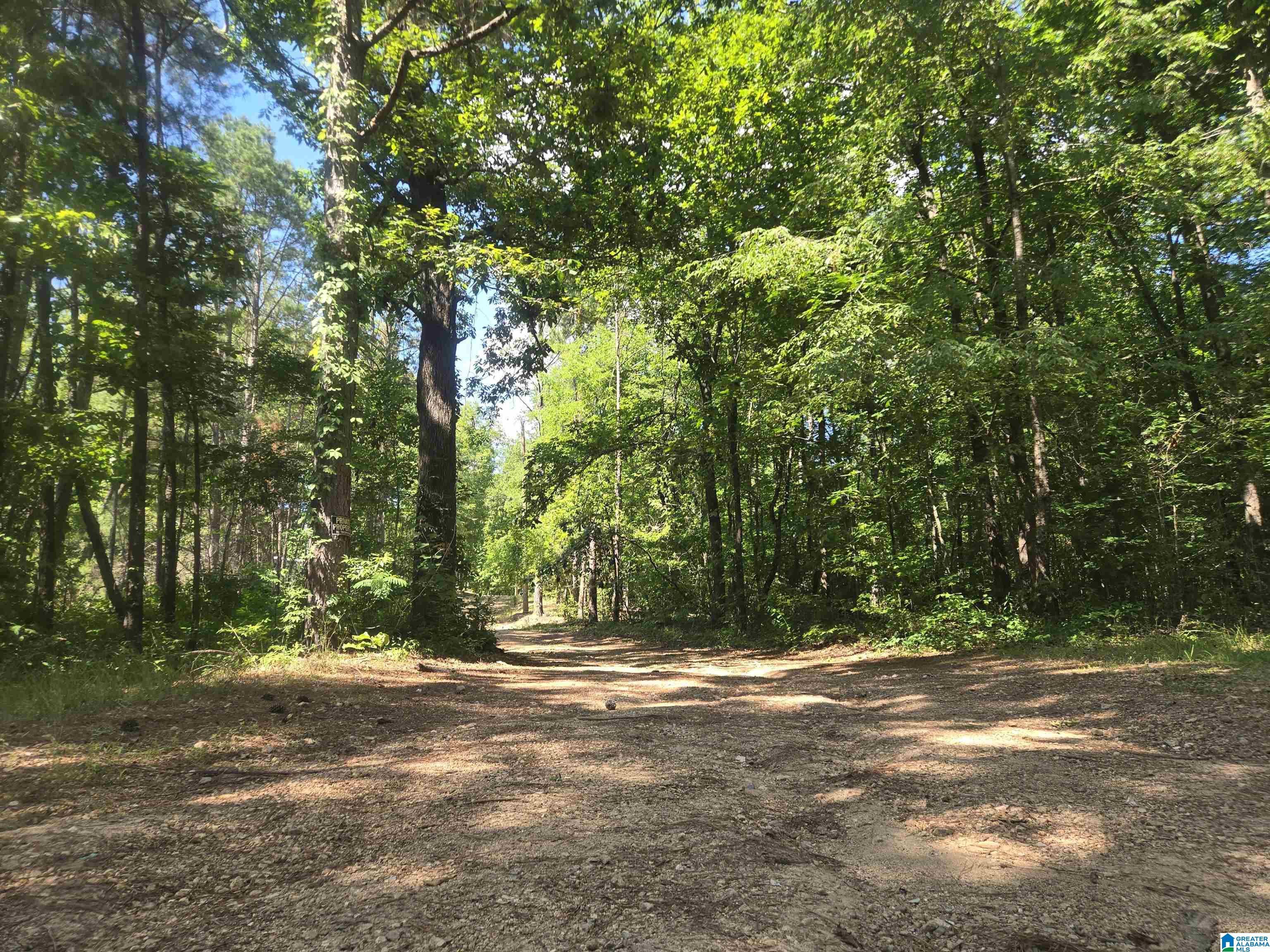 135 Big Chef Road Ohatchee, AL 36271 - Photo 4 of 27