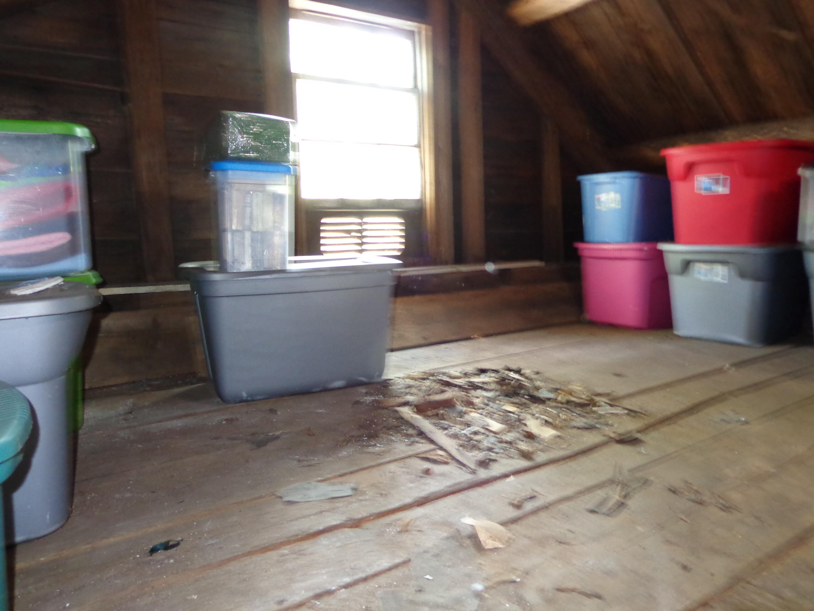1089 Maplewood Road West Newfield, ME 04095 - Photo 52 of 71 DSC04367