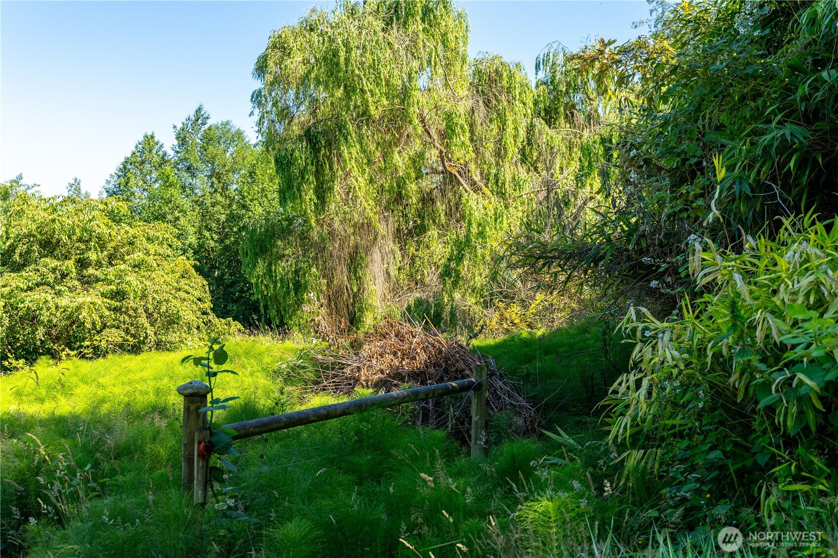 0 East Heggeness Road Clinton, WA 98236 - Photo 11 of 19 a backyard of a house with lots of green space