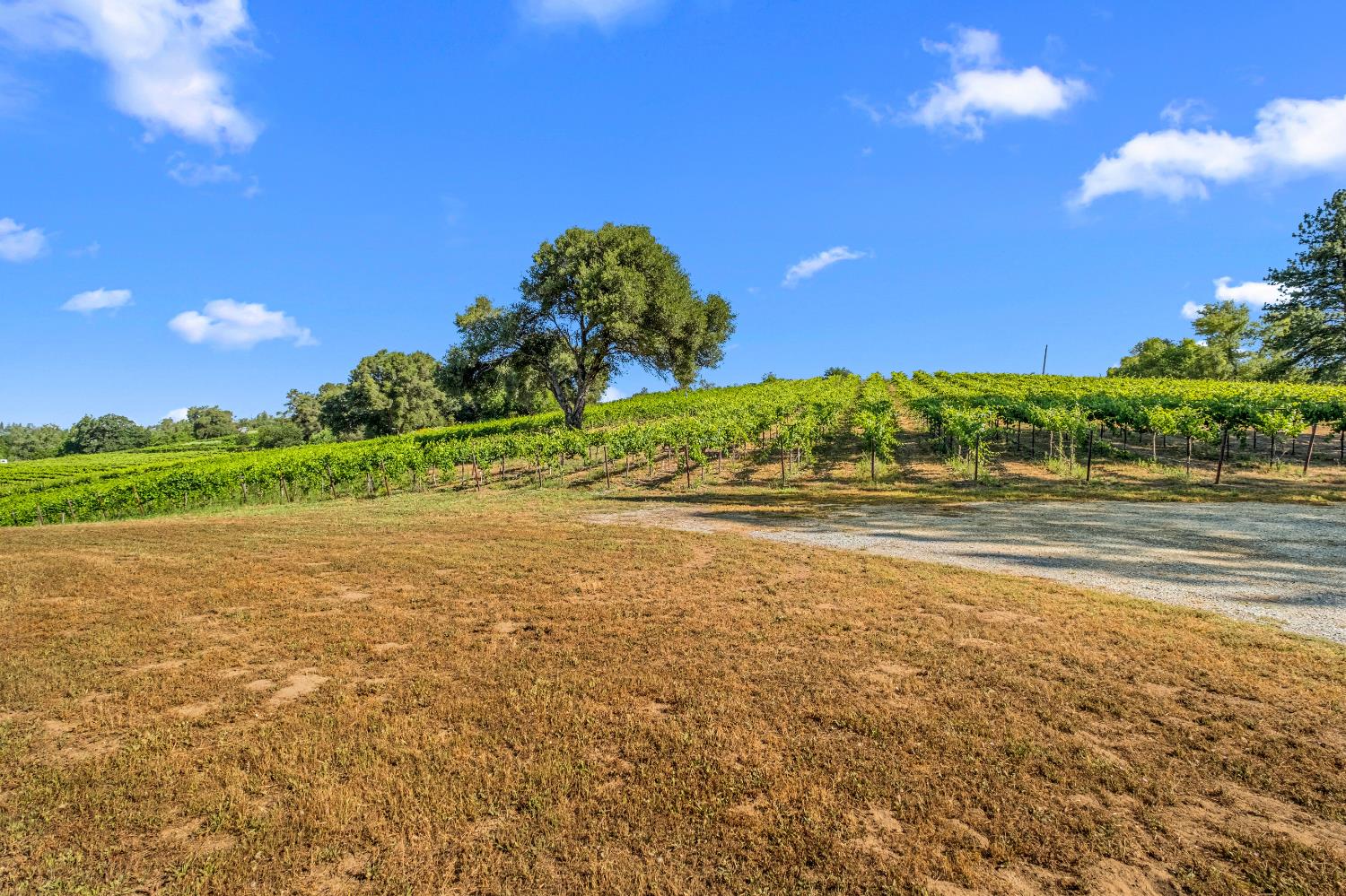 7330 Perry Creek Road Somerset, CA 95684 - Photo 52 of 57
