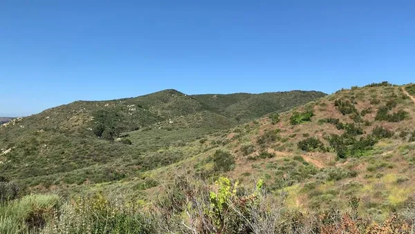 a view of a mountain range with trees in the background
