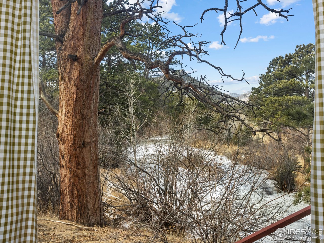 1475 Lower Broadview Road Estes Park, CO 80517 - Photo 5 of 33 Letting the Outdoors In is not a New Concept