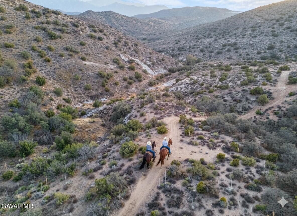 32901 Hawley Road Acton, CA 93510 - Photo 20 of 44 a view of a large mountain in the distance in a field