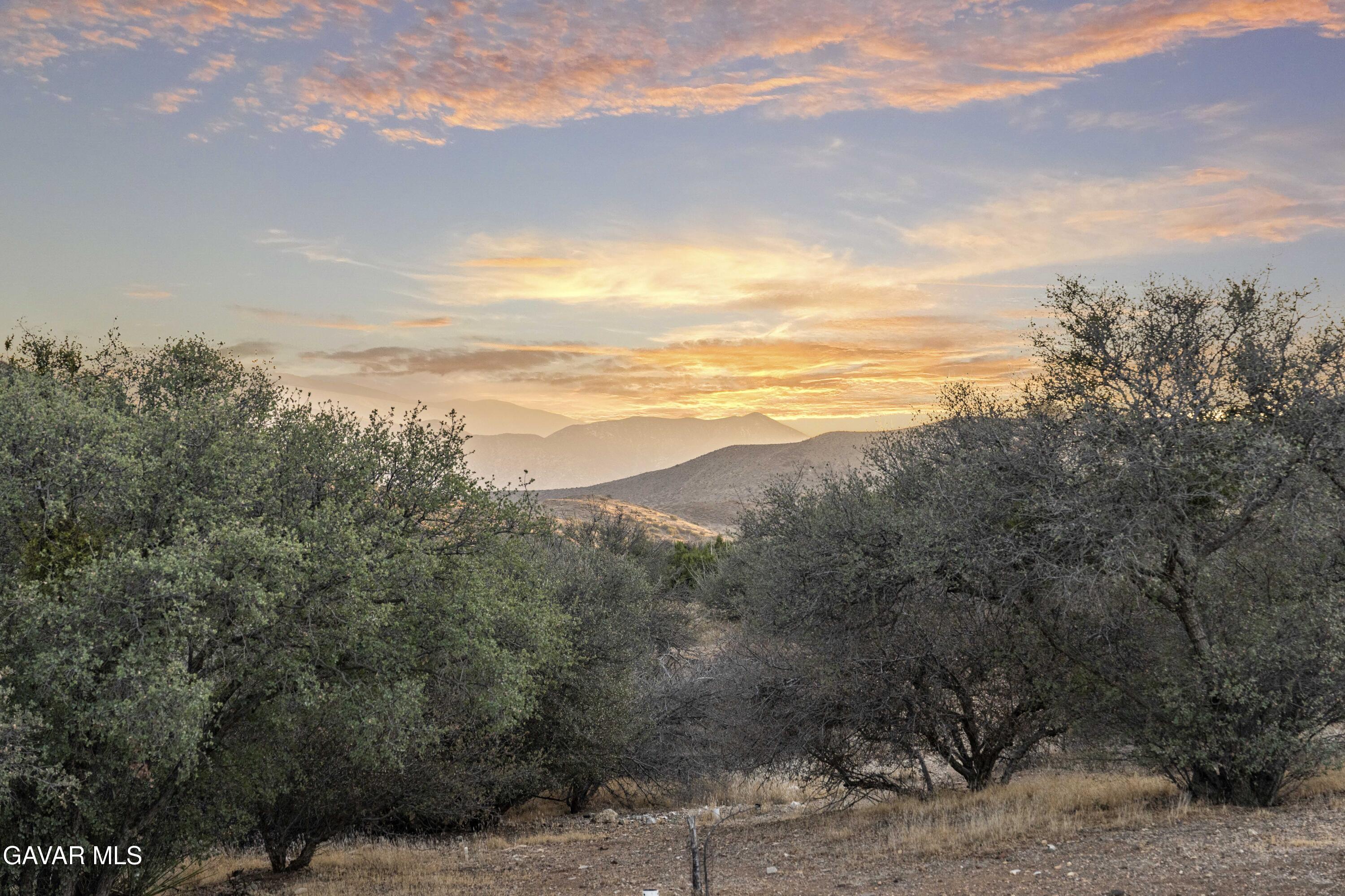 32901 Hawley Road Acton, CA 93510 - Photo 31 of 44 a view of mountain view with lots of trees