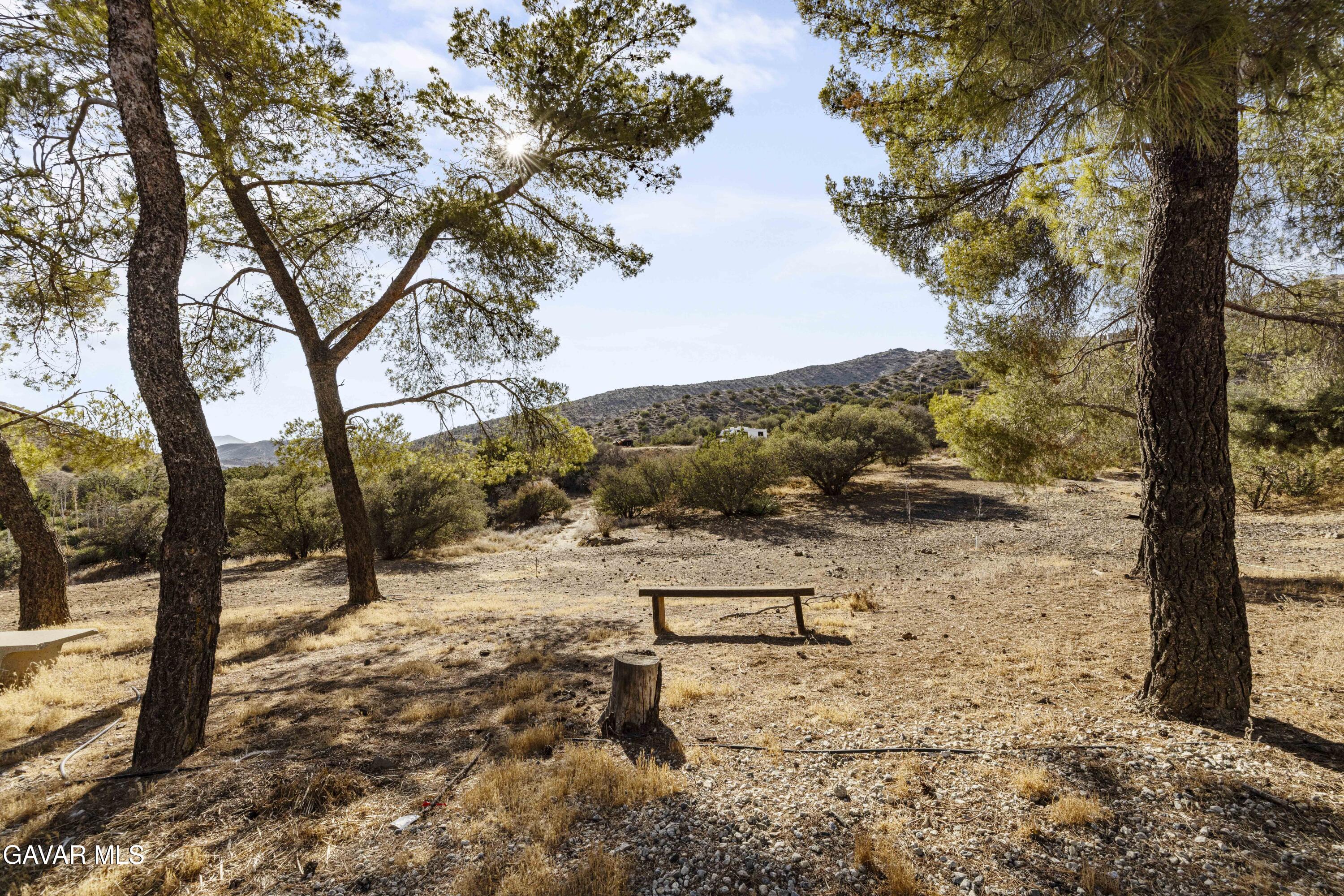 32901 Hawley Road Acton, CA 93510 - Photo 35 of 44 a view of a yard with trees
