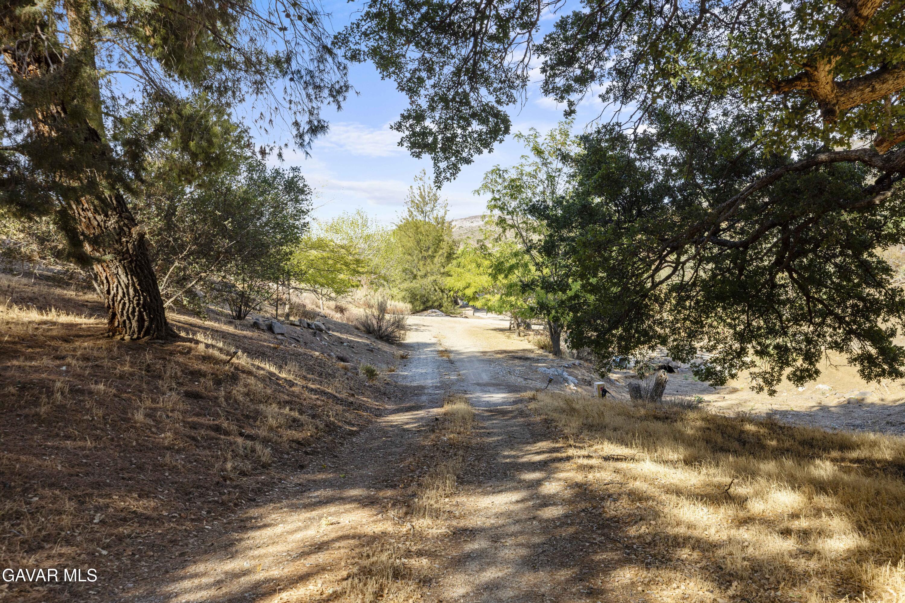32901 Hawley Road Acton, CA 93510 - Photo 36 of 44 a view of a yard with trees