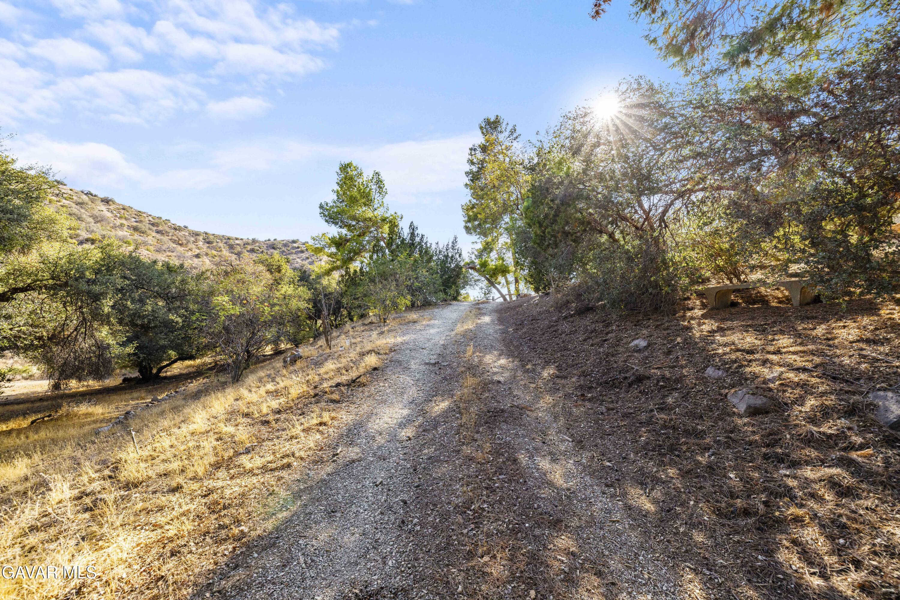 32901 Hawley Road Acton, CA 93510 - Photo 37 of 44 a view of a forest with trees in the background