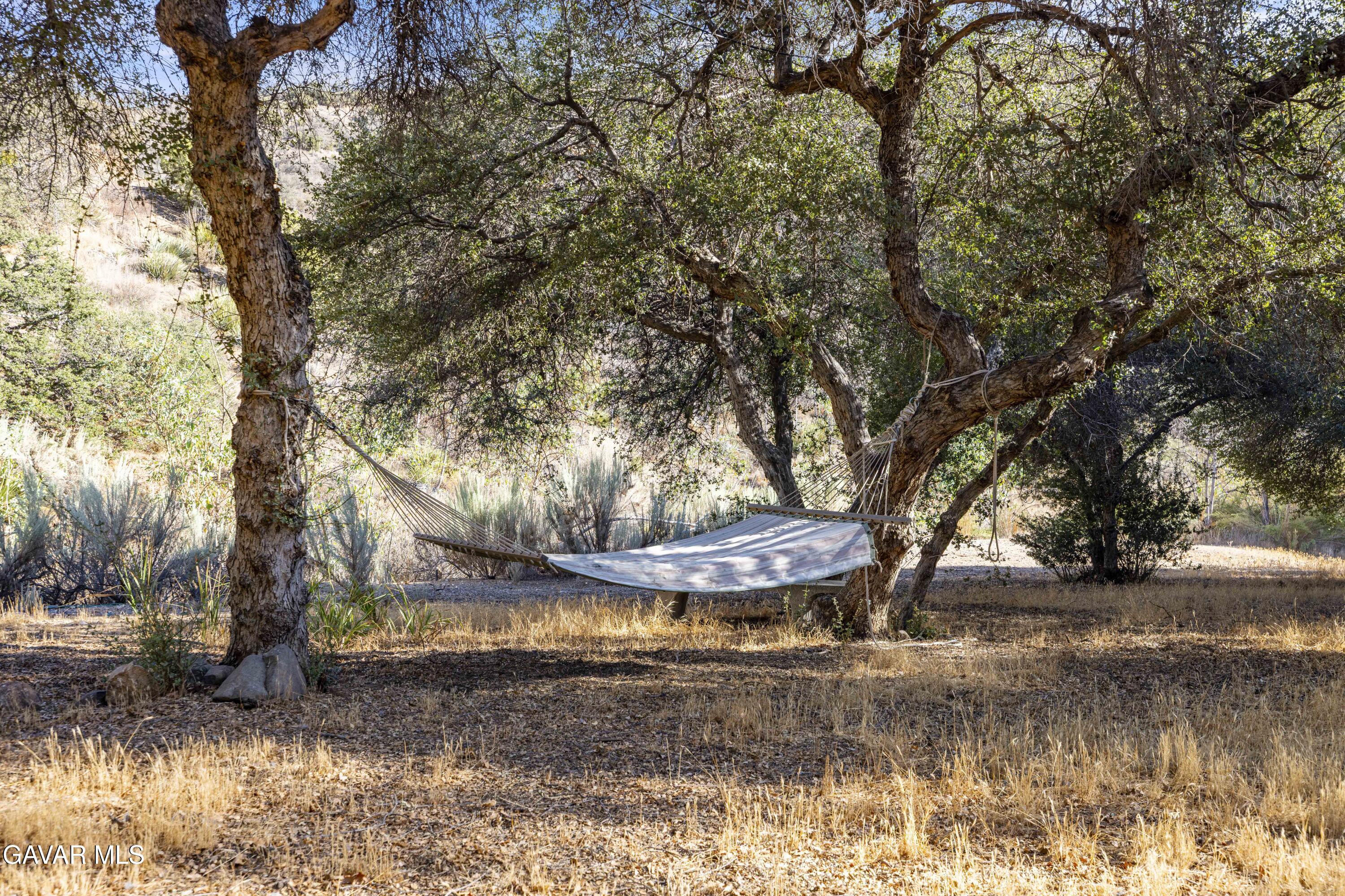 32901 Hawley Road Acton, CA 93510 - Photo 38 of 44 a backyard of a house with a large tree