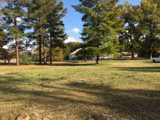 3493 Durhamville Road Ripley, TN 38063 - Photo 5 of 5 Beautiful church across the street. Great area