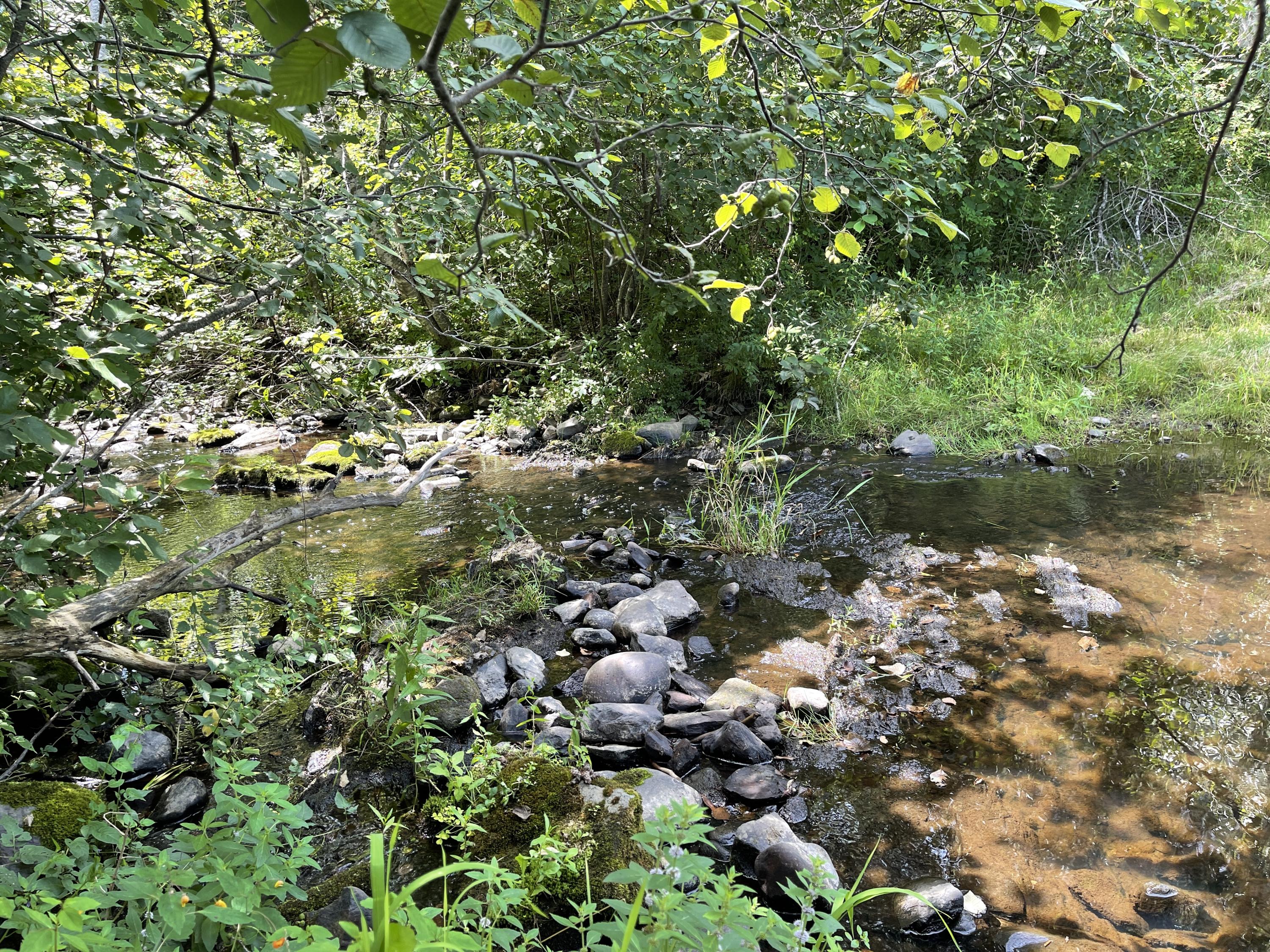 144 Corinth Road Garland, ME 04939 - Photo 7 of 12 IMG_7689
