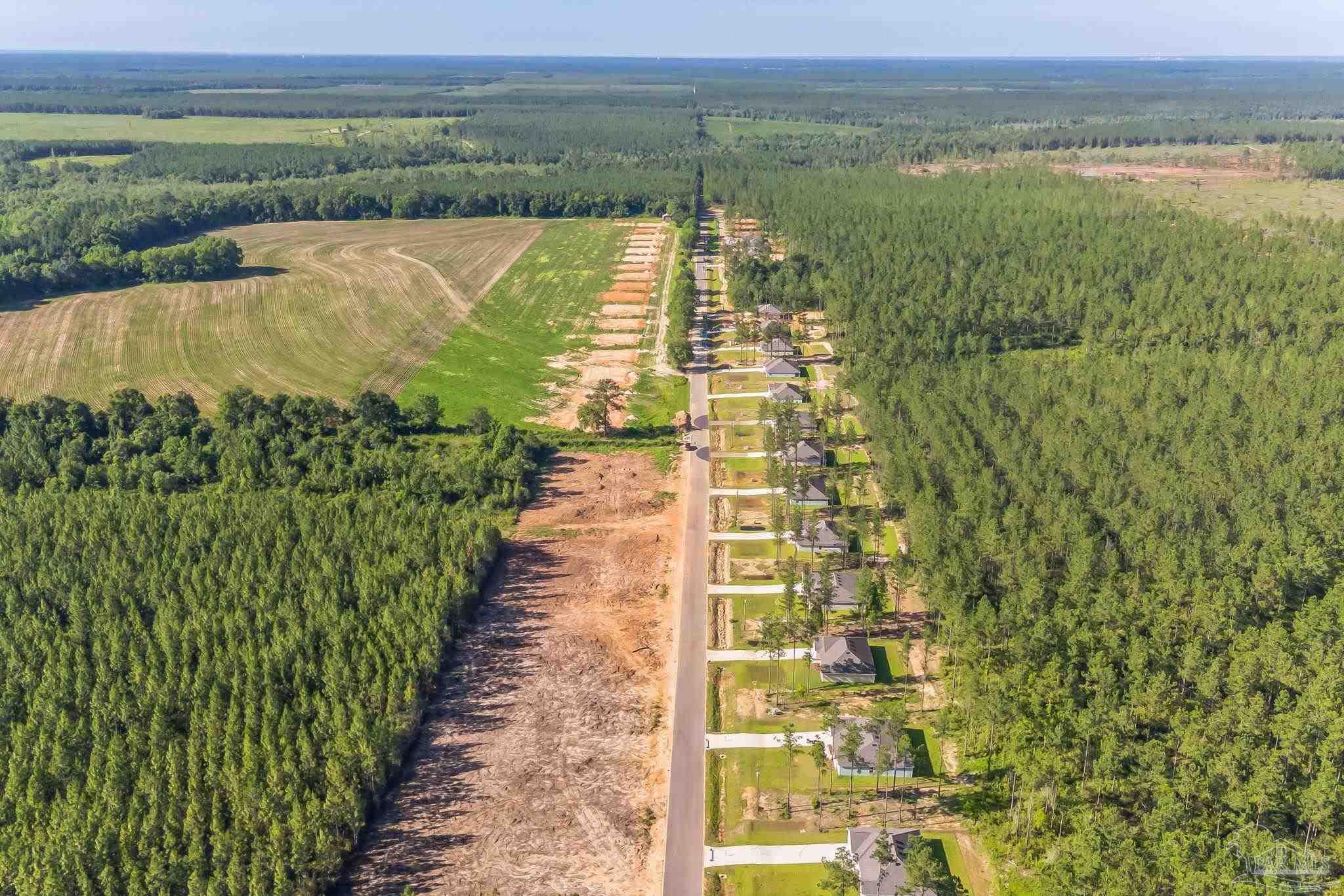 9252 3 Hollow Road Jay, FL 32565 - Photo 15 of 18 a view of a lake with a mountain