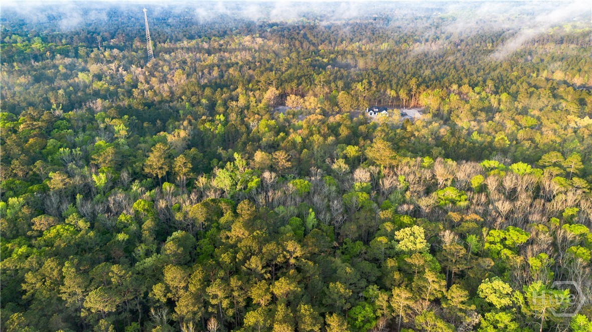 4 Little McCall Road Guyton, GA 31312 - Photo 4 of 12