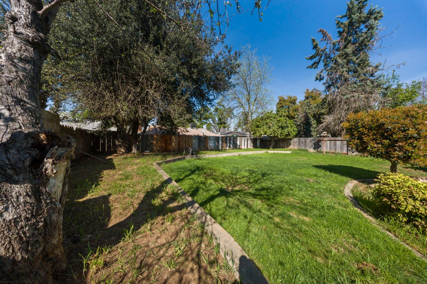 2779 Story Avenue Merced, CA 95340 - Photo 26 of 27 a view of yard with swimming pool and green space
