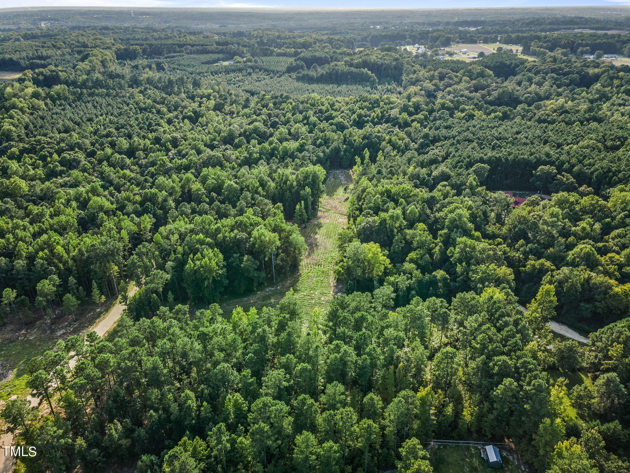 285 Old Eason Road Zebulon, NC 27597 - Photo 10 of 16