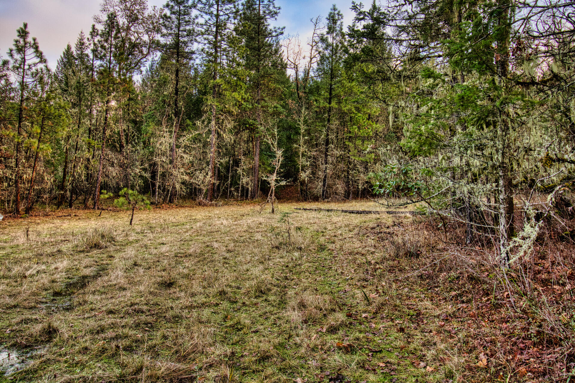6181 Takilma Road Cave Junction, OR 97523 - Photo 9 of 10 6181 8