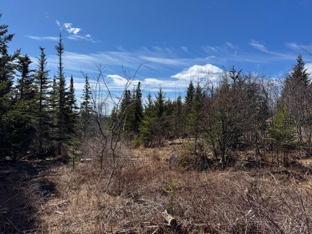 M17-l15 Battle Avenue Castine, ME 04421 - Photo 17 of 22