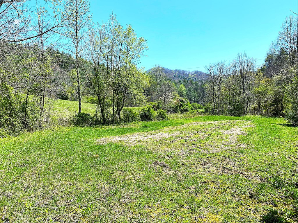 208 Odell Loop Murphy, NC 28906 - Photo 36 of 45