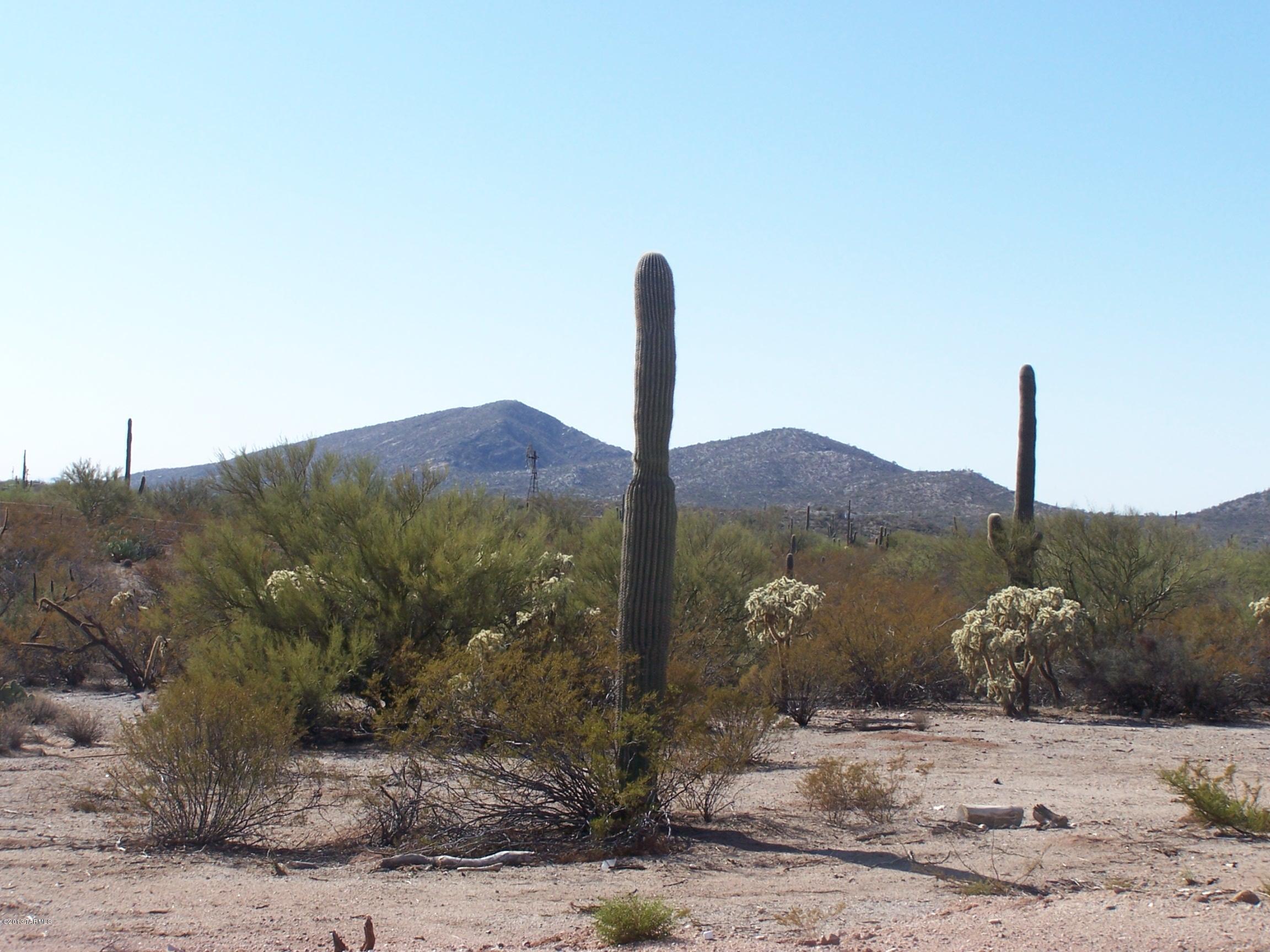 0 Cadillac Wash Road Tucson, AZ 85739 - Photo 1 of 8 Gallery Image 1
