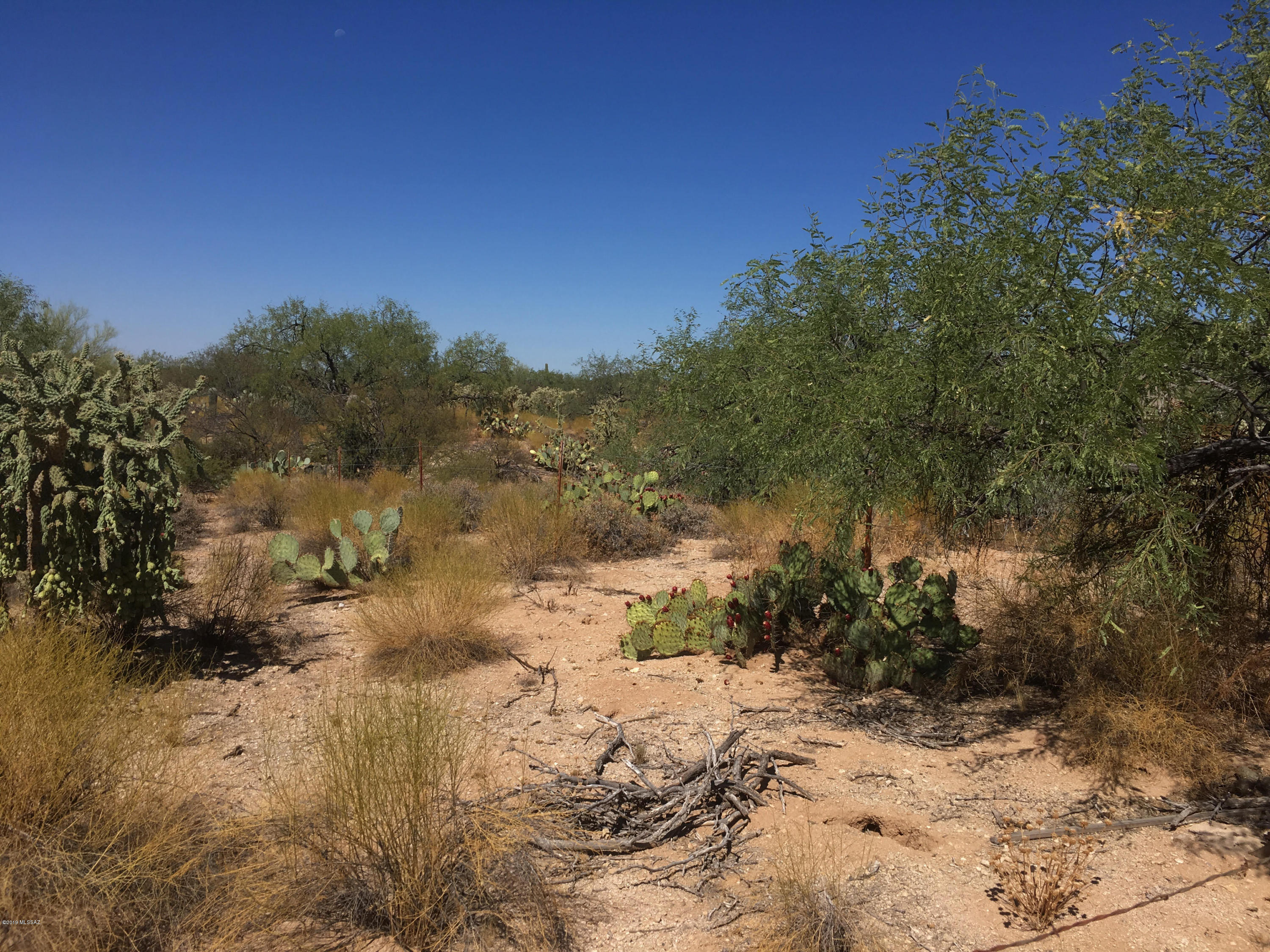 2575 West Sunkist Road Tucson, AZ 85755 - Photo 5 of 5