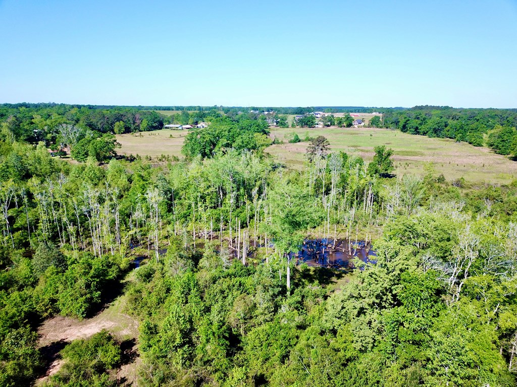 65-acres County Line Road Dothan, AL 36305 - Photo 16 of 37