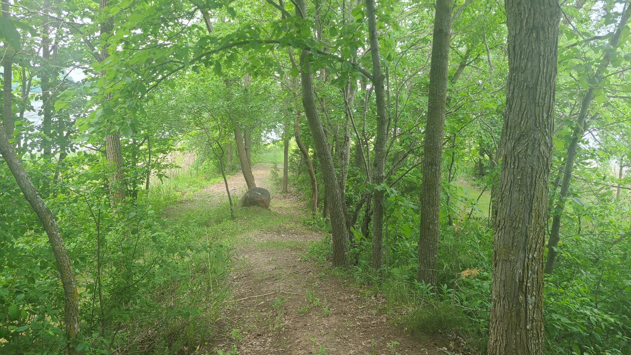 26373 Anna Lake Road Underwood, MN 56586 - Photo 21 of 39