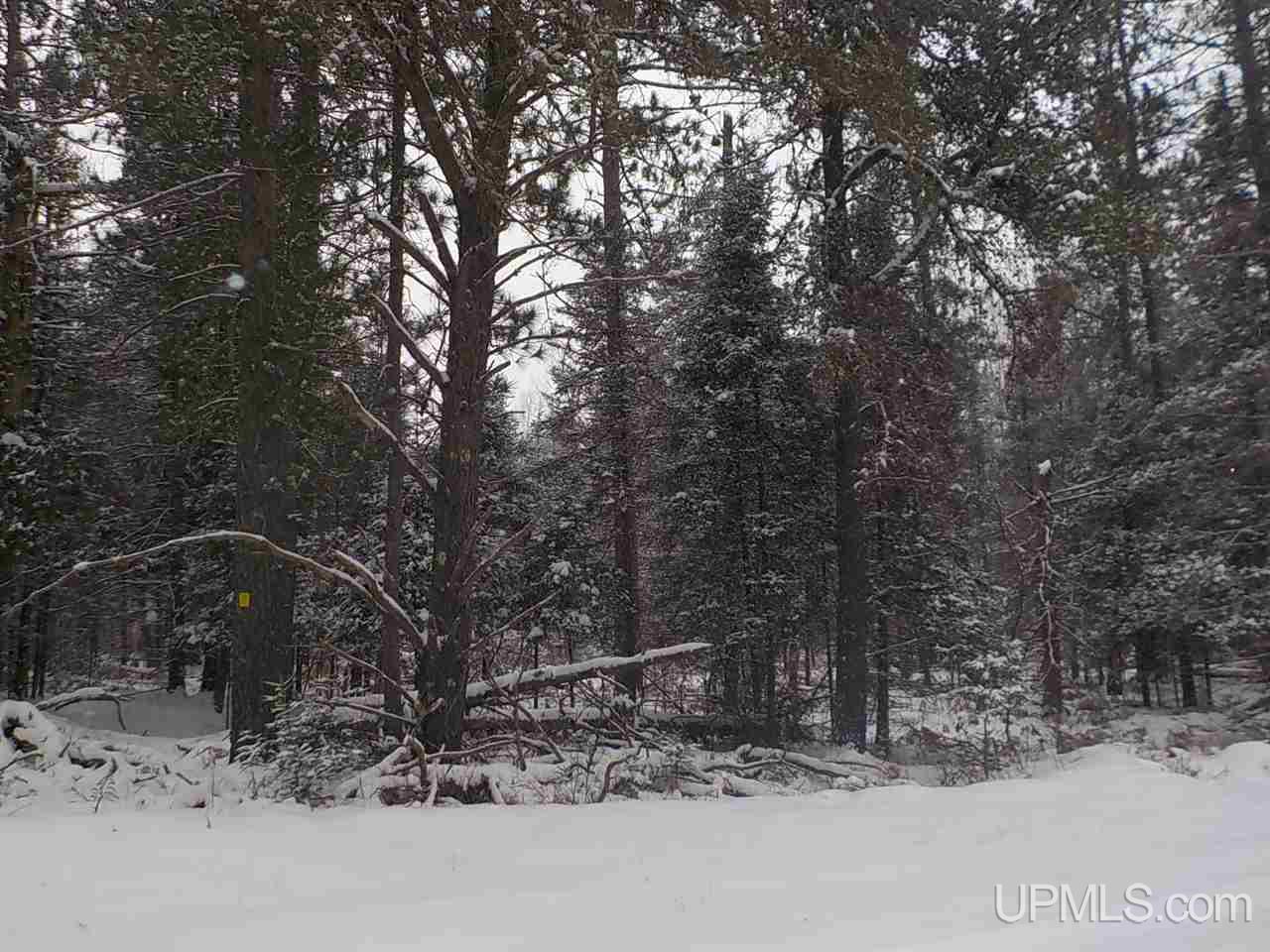7 Ac /- Rock Crusher Road Crystal Falls, MI 49920 - Photo 9 of 10