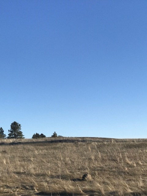 Xxx South Graham Road Cheney, WA 99004 - Photo 12 of 14