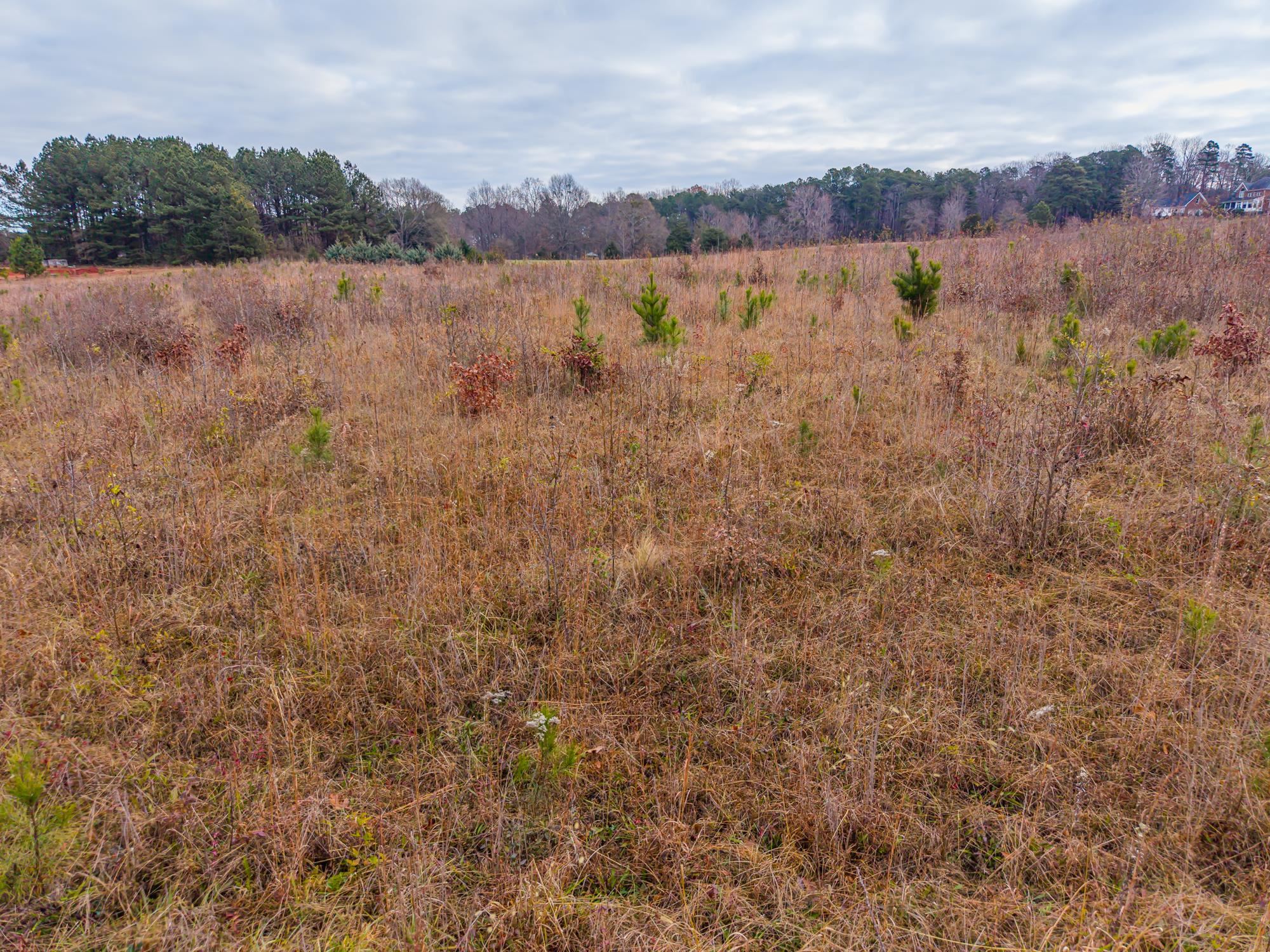 0 Gramling School Road Inman, SC 29349 - Photo 26 of 32