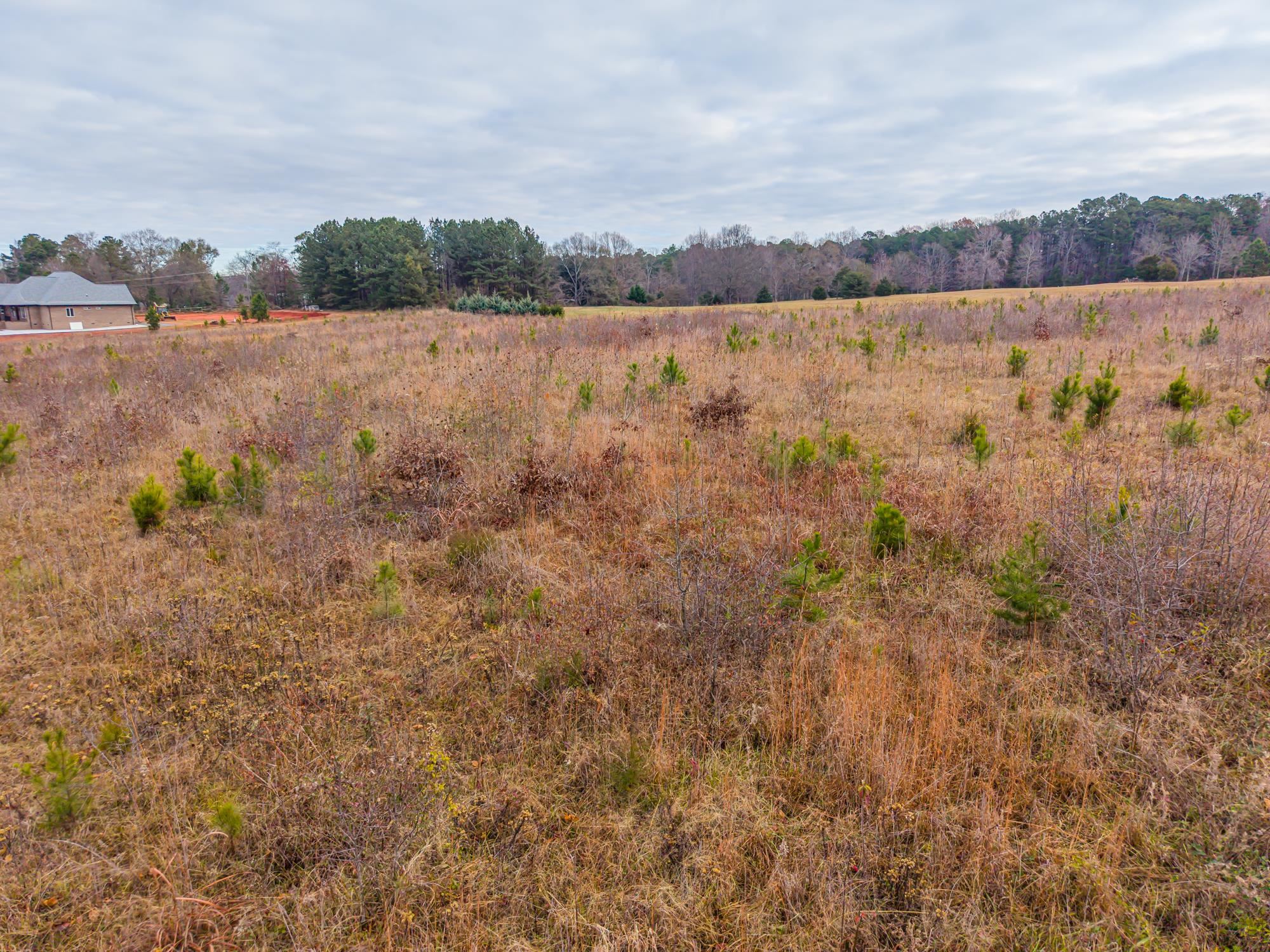 0 Gramling School Road Inman, SC 29349 - Photo 28 of 32