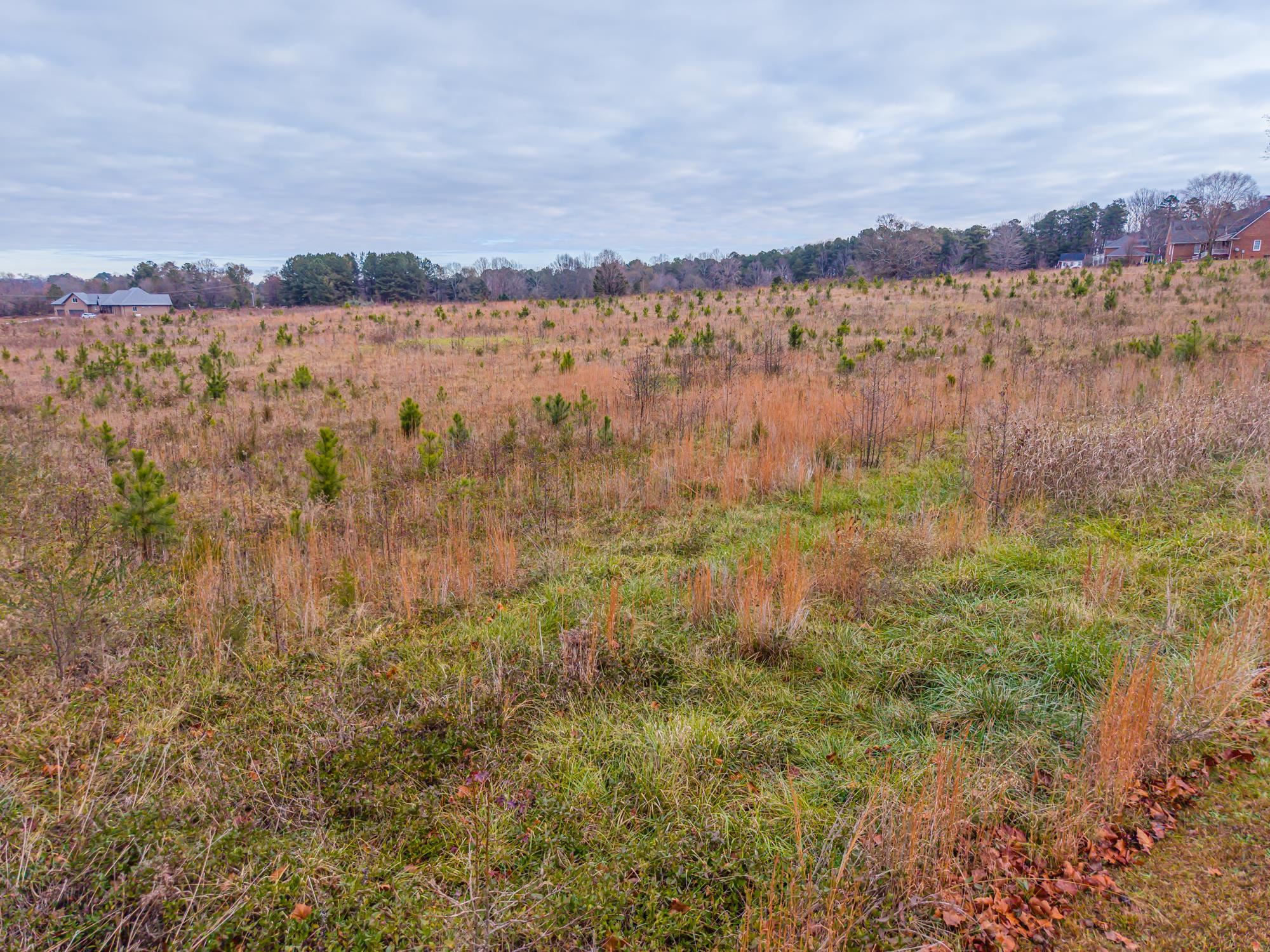 0 Gramling School Road Inman, SC 29349 - Photo 30 of 32