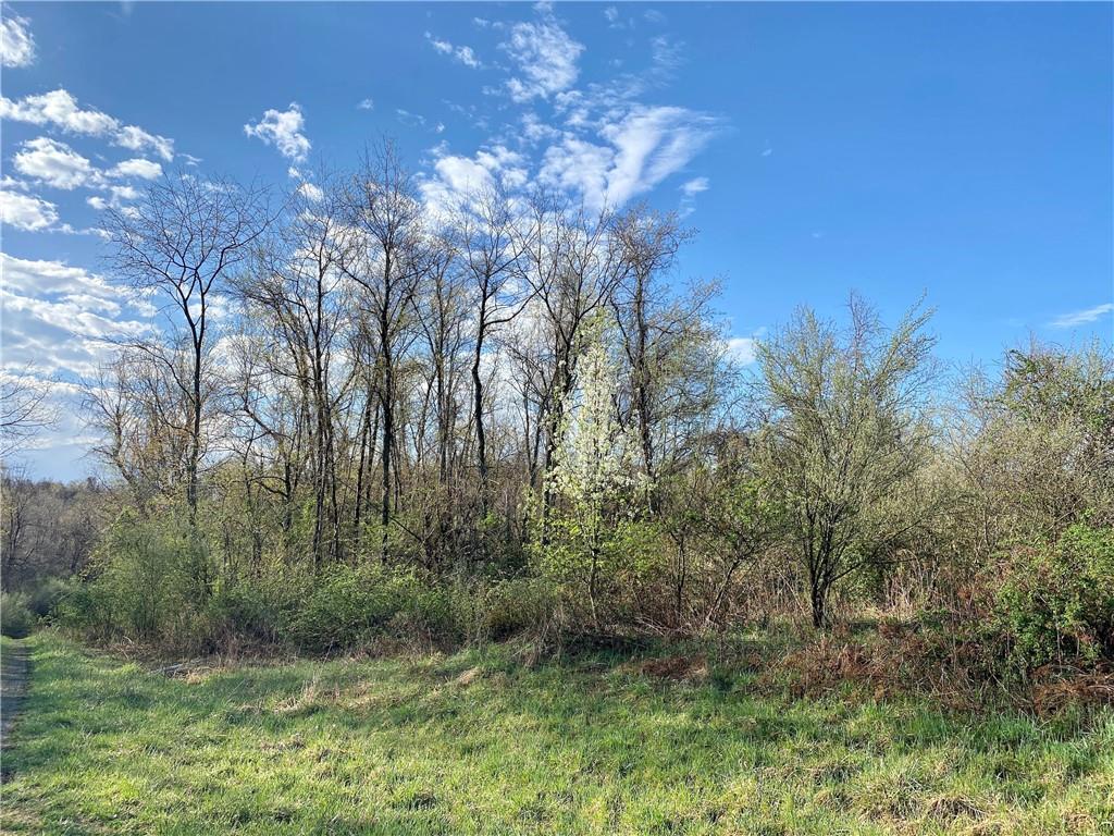 396 Searight Herbert Road Uniontown, PA 15401 - Photo 7 of 22