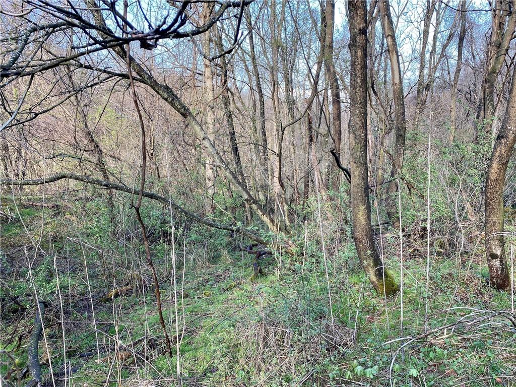 396 Searight Herbert Road Uniontown, PA 15401 - Photo 9 of 22