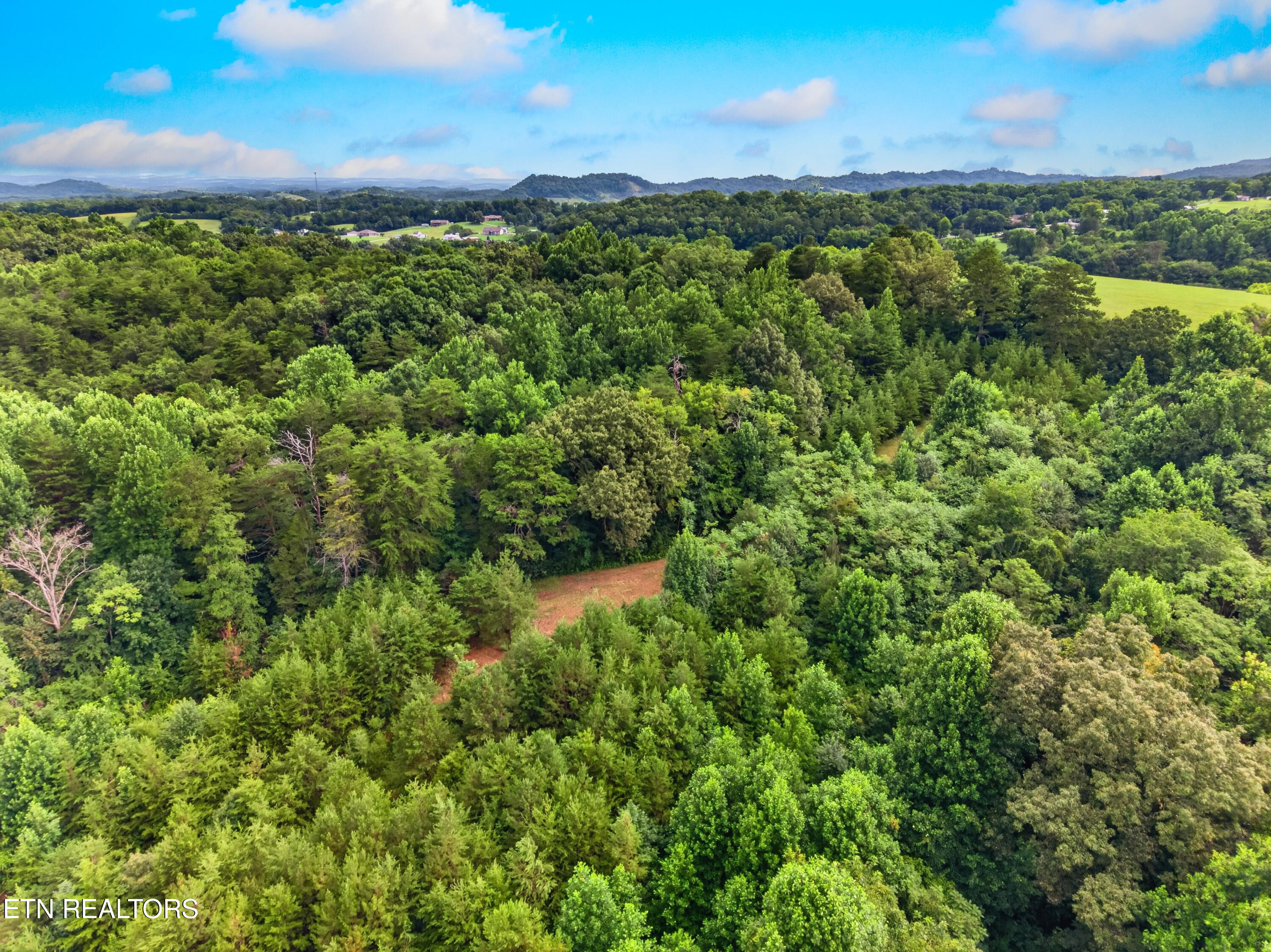 420 Blowing Cave Road Sevierville, TN 37876 - Photo 10 of 40 044-420BlowingCaveRoad-Sevierville-TN-37