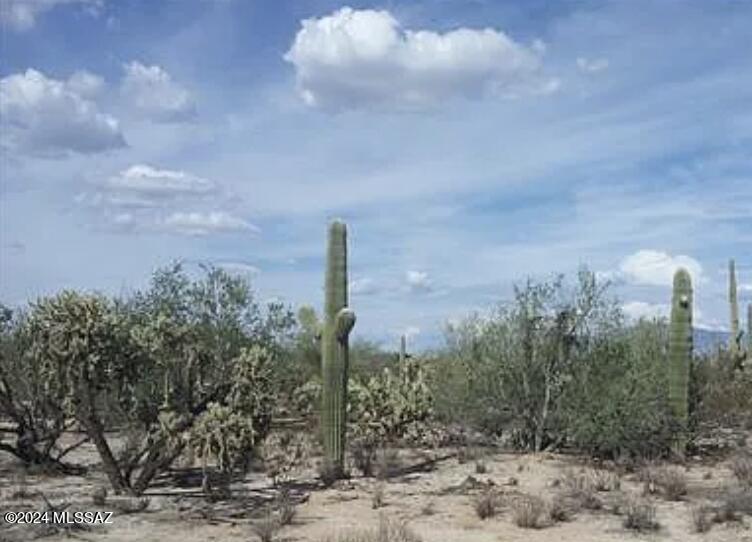 5534 West Oasis Road Tucson, AZ 85742 - Photo 2 of 5 a view of a city with trees in front of it