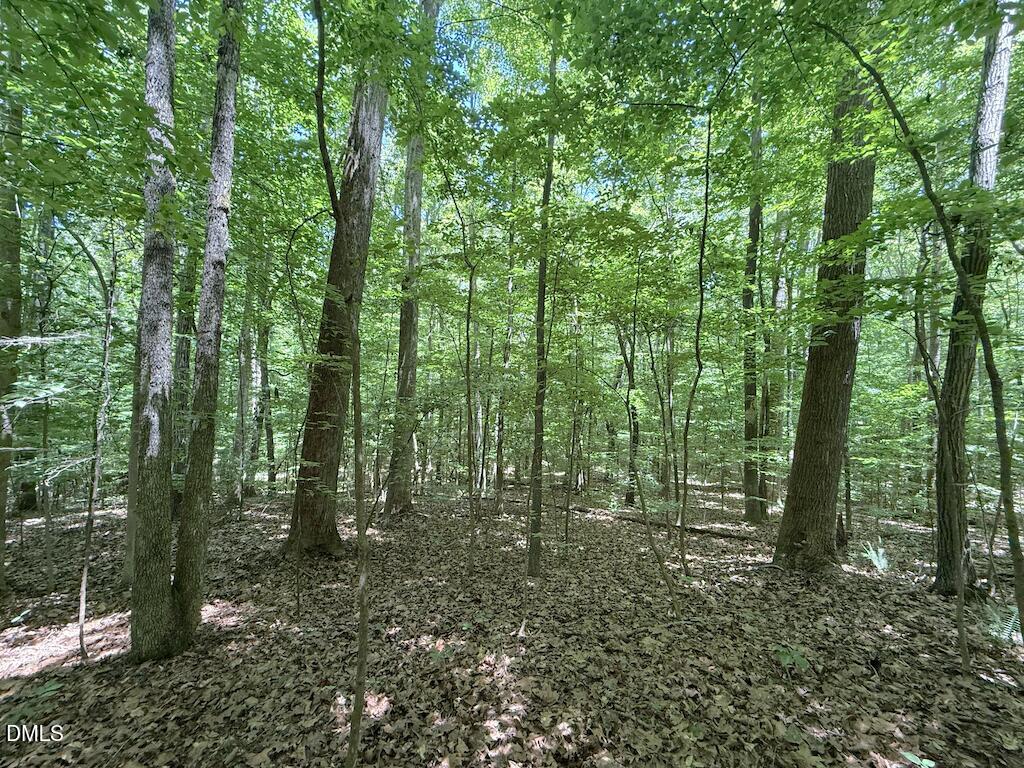 0 Buttonwood Lane Roxboro, NC 27574 - Photo 15 of 36