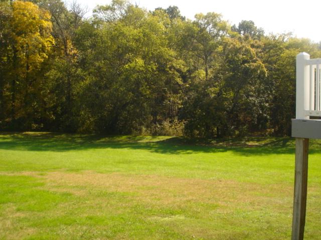1662 John Sharp Road Spring Hill, TN 37174 - Photo 16 of 16 Back yard.