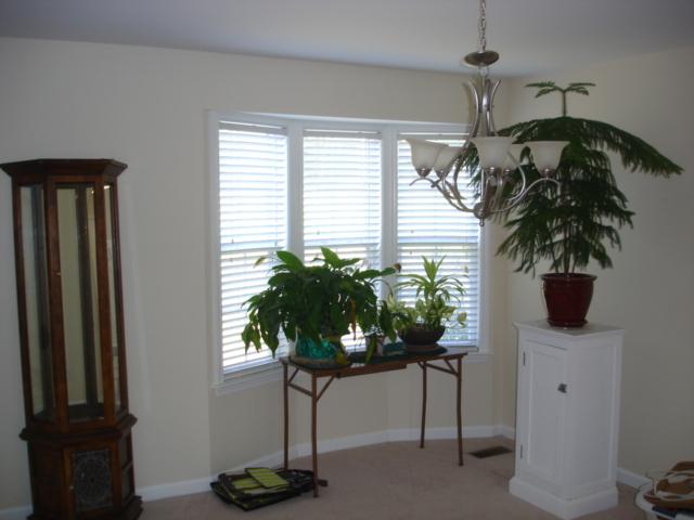 1662 John Sharp Road Spring Hill, TN 37174 - Photo 6 of 16 Large dining room, perfect for holiday entertaining.
