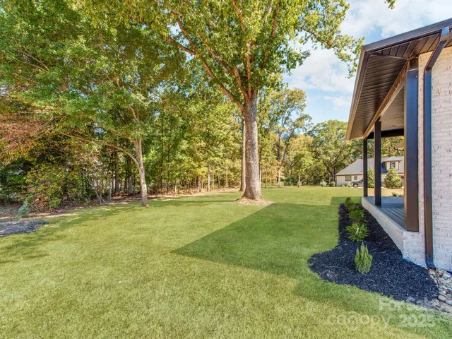 a view of a trees in a yard