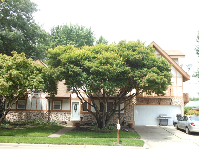 309 Phyllis Avenue Rochelle, IL 61068 - Photo 1 of 20 a front view of a house with a yard and trees