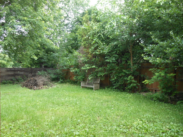 309 Phyllis Avenue Rochelle, IL 61068 - Photo 20 of 20 a view of a backyard