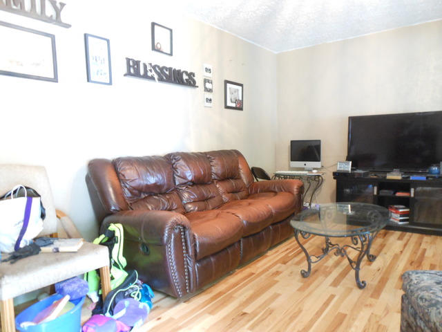 309 Phyllis Avenue Rochelle, IL 61068 - Photo 3 of 20 a living room with furniture and a flat screen tv