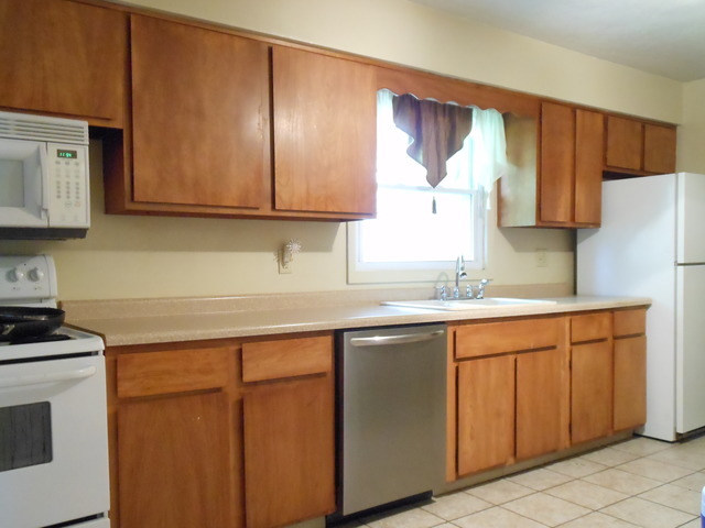 309 Phyllis Avenue Rochelle, IL 61068 - Photo 5 of 20 a kitchen with cabinets a sink and a stove