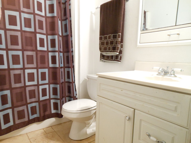 309 Phyllis Avenue Rochelle, IL 61068 - Photo 6 of 20 a bathroom with a sink toilet and shower