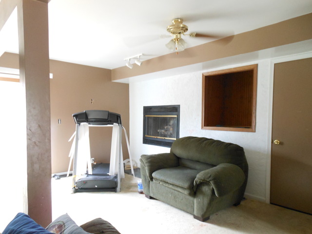 309 Phyllis Avenue Rochelle, IL 61068 - Photo 8 of 20 a living room with furniture and a fireplace