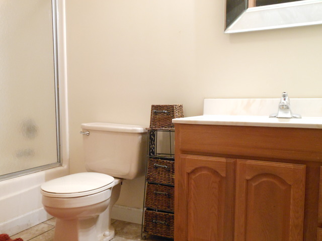 309 Phyllis Avenue Rochelle, IL 61068 - Photo 9 of 20 a bathroom with a sink a toilet and shower