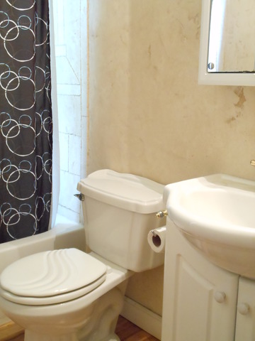 309 Phyllis Avenue Rochelle, IL 61068 - Photo 10 of 20 a white toilet sitting next to a shower curtain