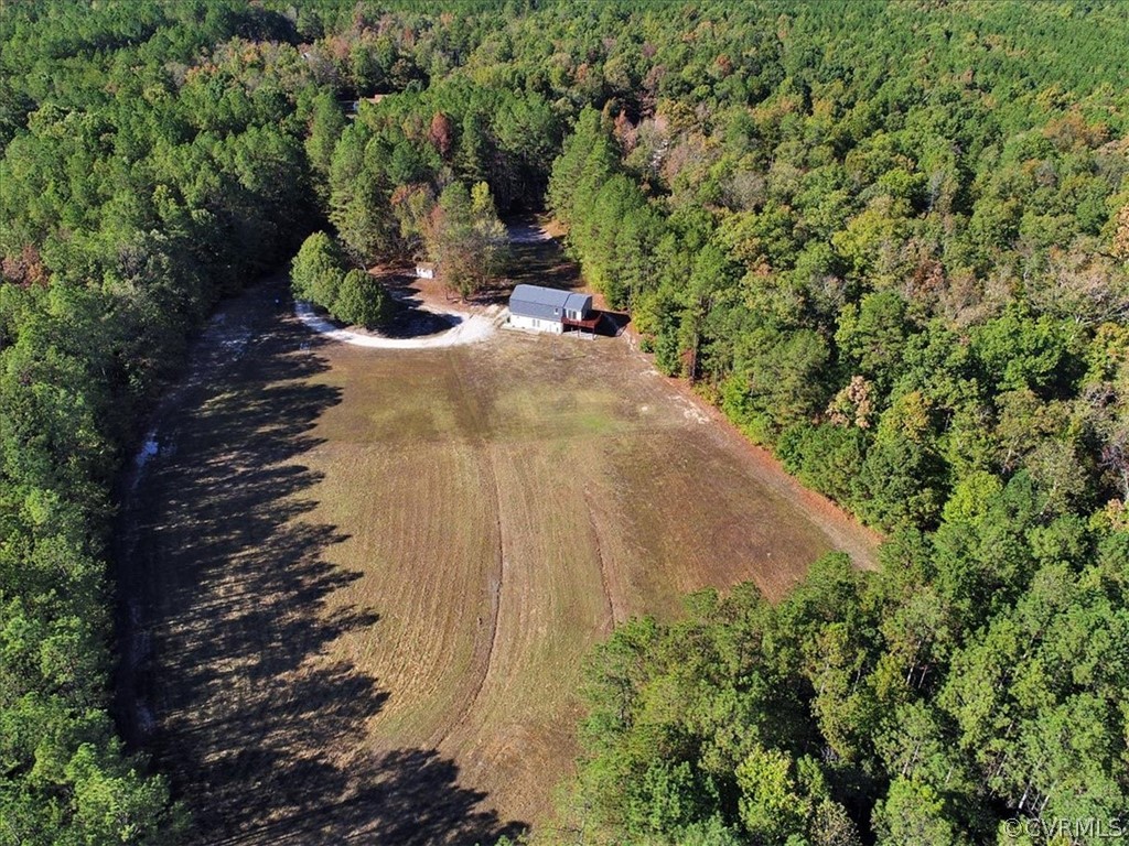 9201 Cattail Road Chesterfield, VA 23838 - Photo 2 of 35 a view of a bunch of trees