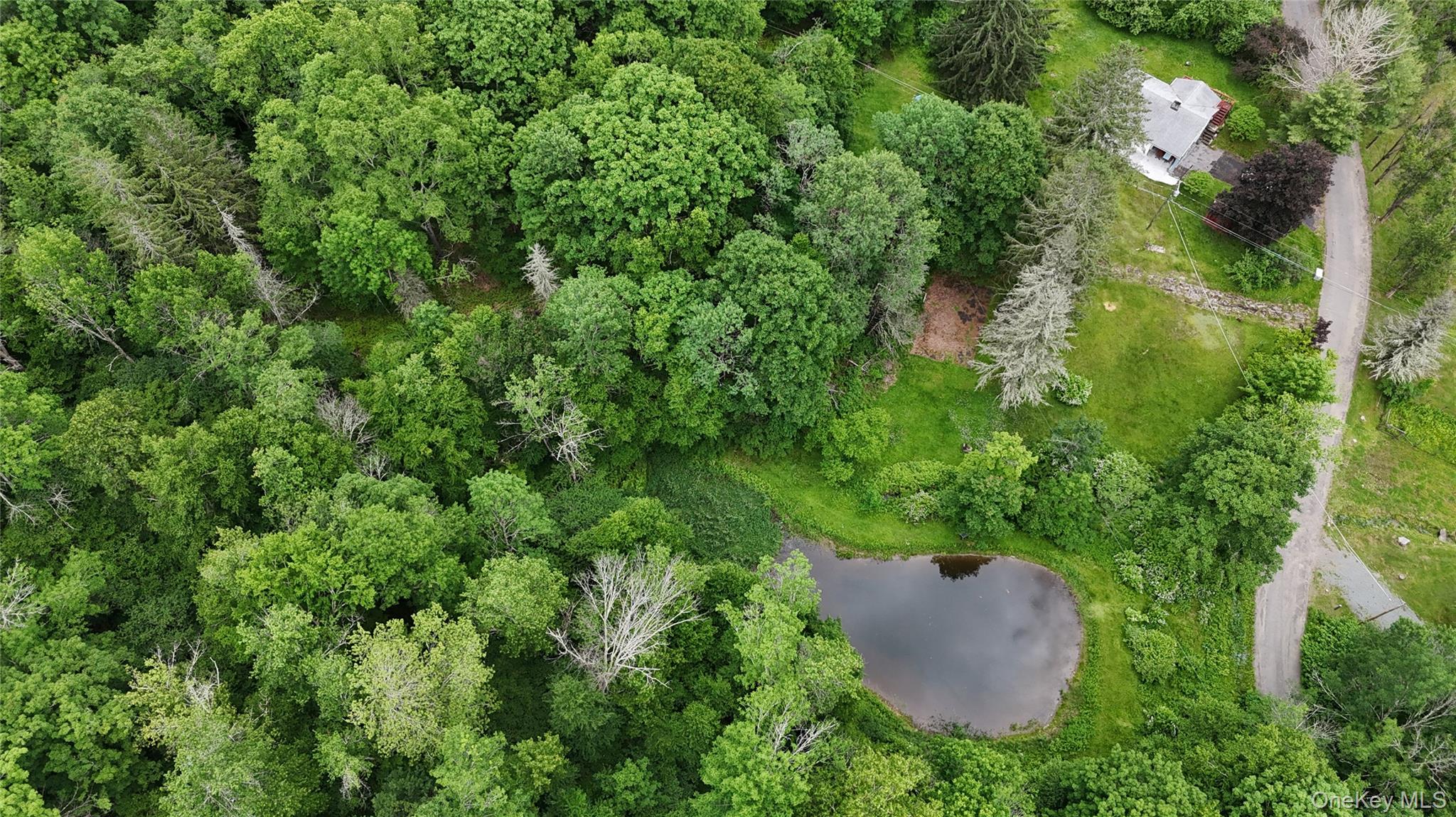 549 Gavette Road Roscoe, NY 12776 - Photo 7 of 31 an aerial view of residential house with outdoor space and trees all around