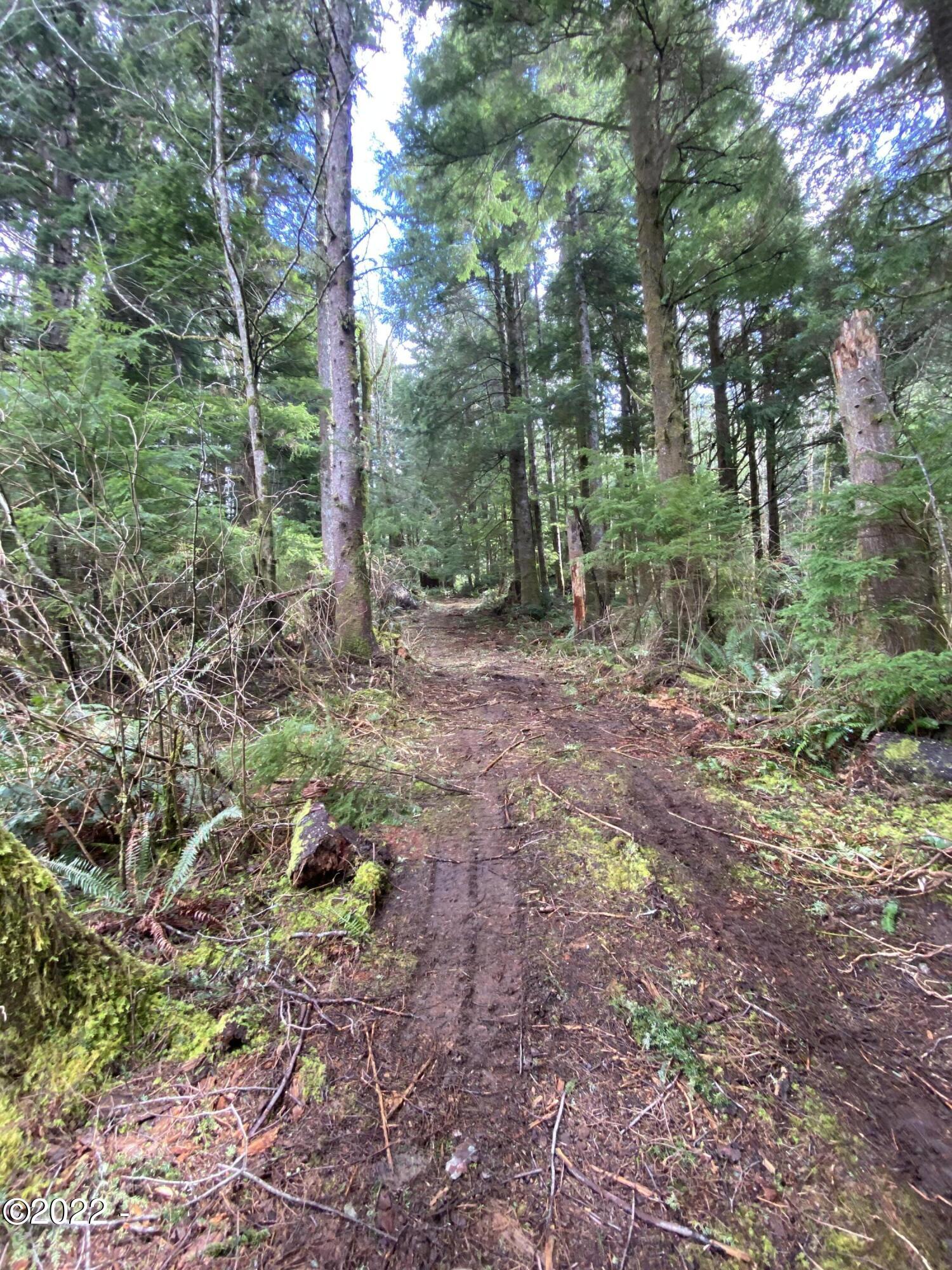 301 Sandlake Road Cloverdale, OR 97112 - Photo 8 of 14 Driveway to property