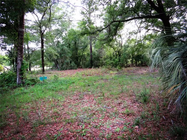 $1,600 | 118 Mill Creek Drive, Melrose, FL 32666